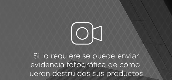 Evidencia fotográfica